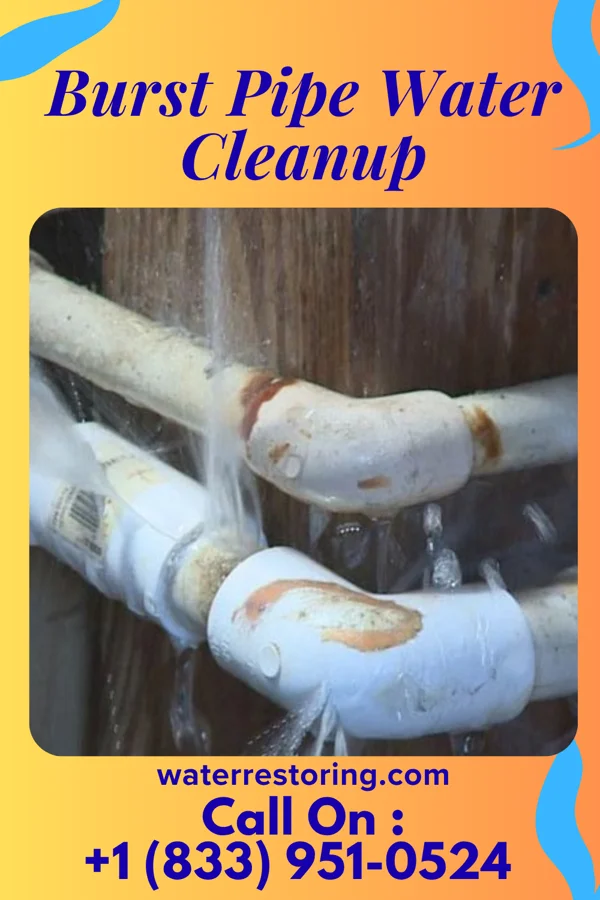 Burst Pipe Water Cleanup in Brickerville, PA