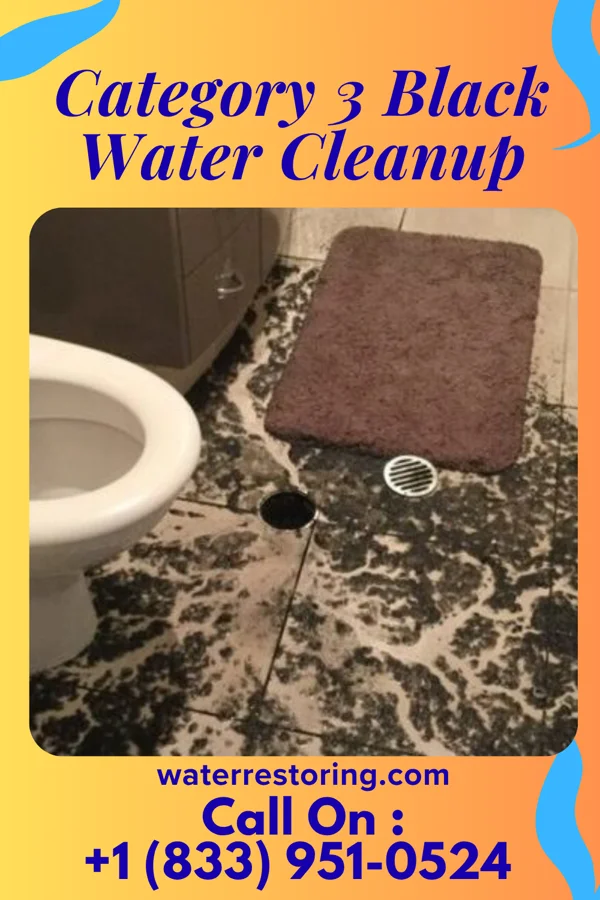Category 3 Black Water Cleanup in Brickerville, PA