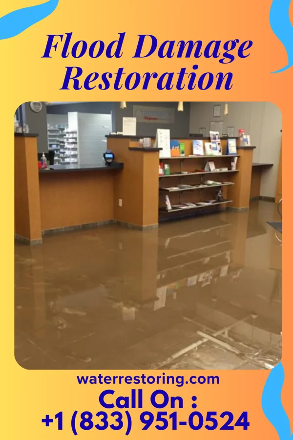 Flood Damage Restoration in Brickerville, PA