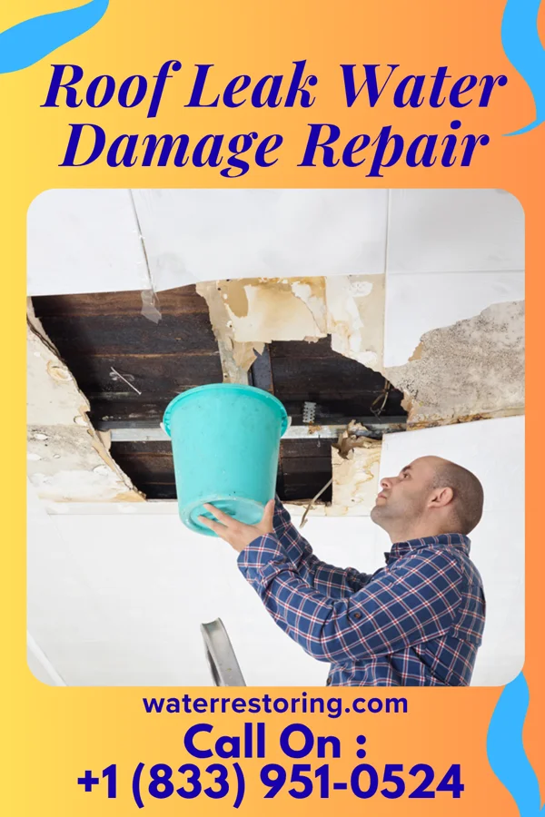 Roof Leak Water Damage Repair in Brickerville, PA