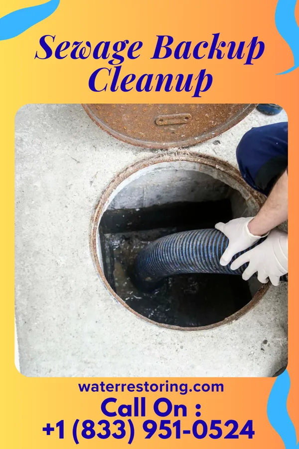 Sewage Backup Cleanup in Brickerville, PA
